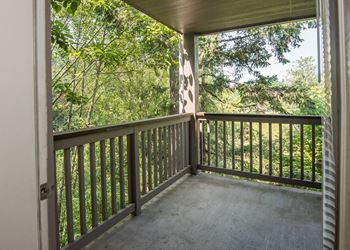 Patio or deck